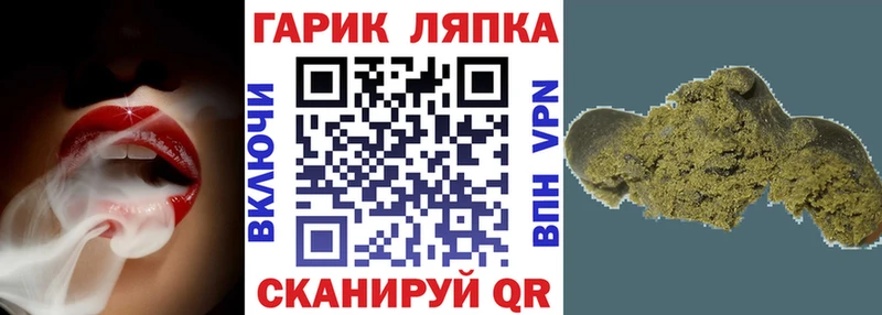 купить закладку  shop наркотические препараты  Гашиш индика сатива  Унеча 
